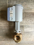 Siemens 274-03076 Valve/Actuator Assembly
