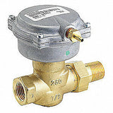 SIEMENS ZValve,Globe, 1/2 in. NPT, 257-02039